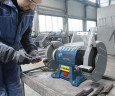 Точильный станок BOSCH GBG 60-20